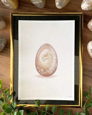 Illustration Coquelicot, Agate fleur (sakura)